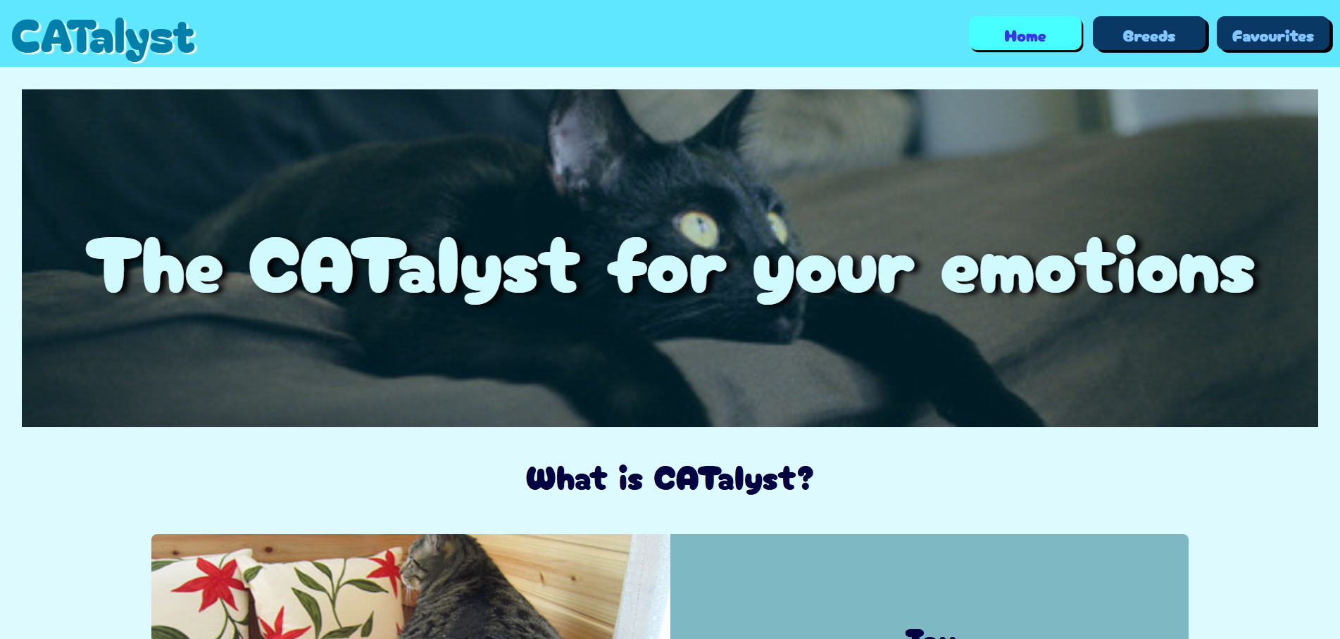 CATalyst Homepage
